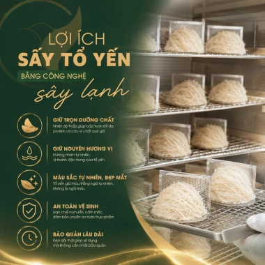 Yến tổ thô thượng hạng Khánh Hòa 50-100gr - Hộp Yến sào Khang ưu đãi 1.820.000đ cho gia đình 5 Yến tổ thô thượng hạng Khánh Hòa 50-100gr - Hộp Yến sào Khang ưu đãi 1.820.000đ cho gia đình 5