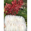 Yến tươi ngon nhà làm - Giảm giá 2.6 triệu/kg, giá chỉ 2.6tr đặc biệt