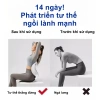 ZEEN Ghế Công Thái Học Chỉnh Dáng Ngồi – Giảm Đau Mỏi Lưng, Giá 239.000₫ (308.310₫) 3