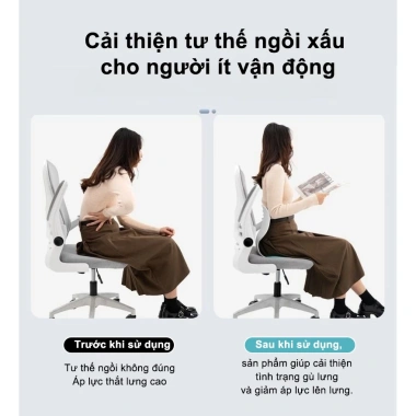 ZEEN Ghế Công Thái Học Chỉnh Dáng Ngồi – Giảm Đau Mỏi Lưng, Giá 239.000₫ (308.310₫)