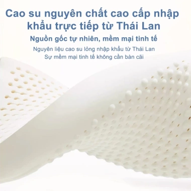 ZEEN Gối Cao Su Non Thiên Nhiên 100% Chống Đau Cổ Vai Gáy, Vỏ Thoáng Khí Giá 106.819₫