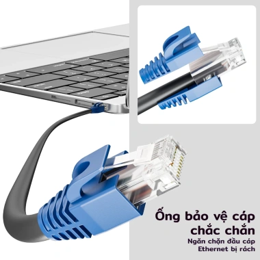 ZoeRax 50PCS RJ45 Cáp mạng Ethernet giảm căng thẳng, bảo vệ vỏ OD 7.5mm cho CAT8 CAT7 CAT6A - Giá ưu đãi 101,200 VND 3 ZoeRax 50PCS RJ45 Cáp mạng Ethernet giảm căng thẳng, bảo vệ vỏ OD 7.5mm cho CAT8 CAT7 CAT6A - Giá ưu đãi 101,200 VND 3