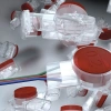 ZoeRax Đầu nối RJ45 RJ11 100PCS K1 K2 K3 - Cáp Ethernet, điện thoại, giá ưu đãi 58.794 VND 5