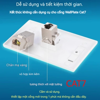 ZoeRax RJ45 Keystone Jack Cat7/6a Nữ STP 10Gbps Khớp Nối Tường và Bảng Dán 6 ZoeRax RJ45 Keystone Jack Cat7/6a Nữ STP 10Gbps Khớp Nối Tường và Bảng Dán 6