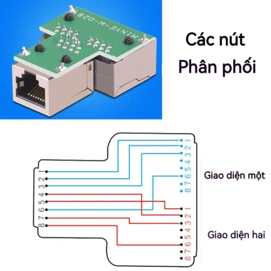 ZoeRax Splitter RJ45 1 đến 2 Cổng Nữ Nữ Extender Ethernet Giá 76.999đ 5 ZoeRax Splitter RJ45 1 đến 2 Cổng Nữ Nữ Extender Ethernet Giá 76.999đ 5