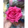 10 bông Hồng xoăn 12cm hoa vải giả - Trang trí bàn tiệc, giá ưu đãi 40.000đ 3