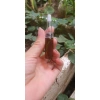 10 chai serum 1ml-5ml màu nâu trắng, chai và chóp, chỉ 30.000 đồng giảm từ 38.100 đồng
