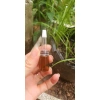 10 chai serum 1ml-5ml màu nâu trắng, chai và chóp, chỉ 30.000 đồng giảm từ 38.100 đồng 4