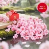 100 Hoa Đào Nhân Tạo, Hoa Hồng - Cành Hoa Giả Đám Cưới DIY Lễ Hội Giá 58,320₫