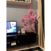 100 Hoa Đào Nhân Tạo, Hoa Hồng - Cành Hoa Giả Đám Cưới DIY Lễ Hội Giá 58,320₫ 7