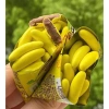 1kg Sô cô la chuối siêu thơm ngon - Giá 85.000đ, giảm 19% - Thức ăn vặt ngon 4