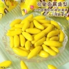1kg Sô cô la chuối siêu thơm ngon - Giá 85.000đ, giảm 19% - Thức ăn vặt ngon 5