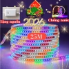 30M Dây Đèn LED 2.835 Nháy Đuổi Bọc Plastic Chống Nước - Tặng Nguồn LED Trang Trí Noel Tết 2