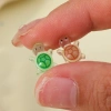 500 Charm rùa phát sáng DIY - Trang sức, dán vỏ điện thoại, an toàn, giá ưu đãi 52.580₫ 9