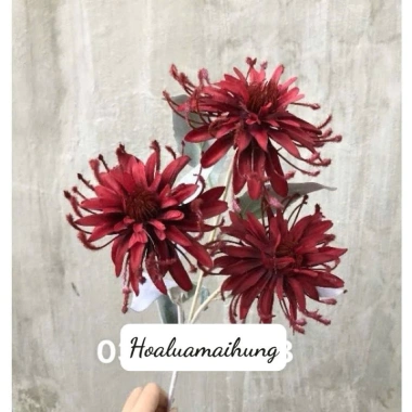 Ảnh Thật Hoa Cúc Giả Bỉ Ngạn 1 Cành 3 Bông Lụa Đường Kính 11cm - Cành 70cm, Cắm Bình Decor Giá 32.900đ