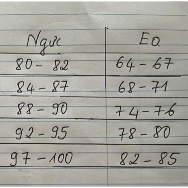 Áo dài cờ thêu quốc kỳ - màu trắng, xanh, hồng đỗ, giá ưu đãi 250.000₫