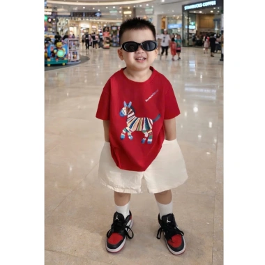 Áo Gia Đình BÍNH NGỌ 2.026 Cotton Đỏ Ngựa May Mắn (8-85kg) Giá 59.900
