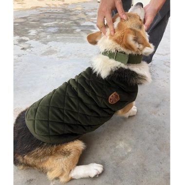 Áo nỉ chó to khuy bấm ấm áp, áo khoác lót lông size lớn - Giá ưu đãi 129k 4