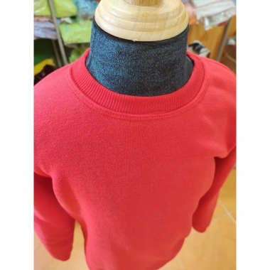 Áo Thu Đông Sweater Dài Tay Nam Nữ Trẻ Em Mẫu Trơn, Nỉ Lót Bông Mềm, Ấm Áp Ngày Tết - Giá 79.200 VND