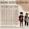 Áo Thun Tết 2.026 Ngựa Tài Lộc Cotton 100% Unisex Mẹ & Bé Giá 100.000 VND 9