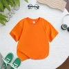 Áo thun Tết Bính Ngọ 2.026 Unisex poly mềm mịn co giãn 4 chiều, size 9-90kg, cho gia đình SSSHOP 2