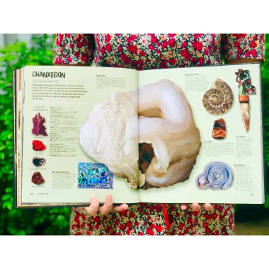 Bách khoa toàn thư Đá quý & Khoáng sản – Hơn 1.000 mẫu vật, hình ảnh rõ nét, bìa cứng, giảm giá