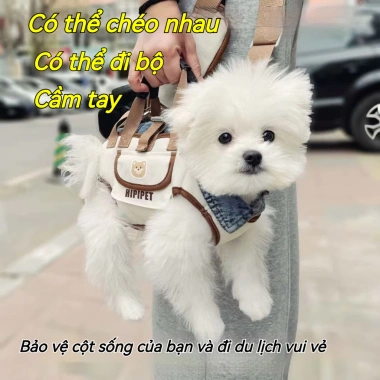 Balo chó 4 trong 1 thoáng khí, dây kéo vai - Túi xách ngoài trời cho chó nhỏ và trung bình 5