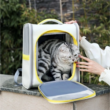 Balo vận chuyển MoorPet 40x31x24cm Cutepets - Nhẹ, bảo vệ thú cưng, giá chỉ 275.900₫ 2