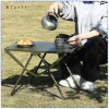 Bàn cắm trại gấp Eigl - Nhỏ gọn, chắc chắn, có túi lưu trữ, phù hợp BBQ, giảm 20% 2
