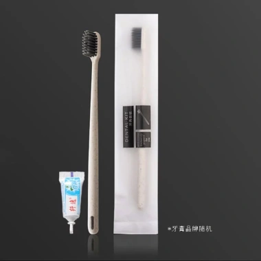 Bàn chải đánh răng dùng một lần di động - Vệ sinh tiện lợi cho du lịch, leo núi, kèm kem đánh răng 10