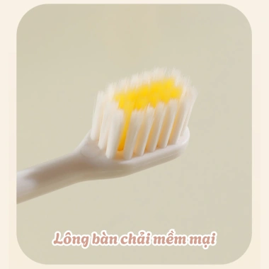 Bàn Chải Đánh Răng Gấp Gọn 2in1 Đựng Kem, Lông Mềm Nhỏ Gọn, Du Lịch 21.000 VND 8