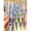 Bàn chải đánh răng SunRee và Kaka Thailand 50 cây - Hộp móc giá ưu đãi 360.707₫ 2