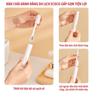 Bàn chải ECOCO lông mềm thu gọn, du lịch trẻ & người lớn, thế hệ mới 25.103