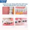Bàn Chải Kẽ Răng Niềng 10 - Tăm Kẽ Chữ L, Size Đủ, Nắp Đậy, Vệ Sinh Sạch 2