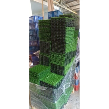 Bàn học gấp gọn đa năng chân xếp, bàn bệt gỗ thông 40x60 tiện lợi cho học sinh, sinh viên, giá 175k
