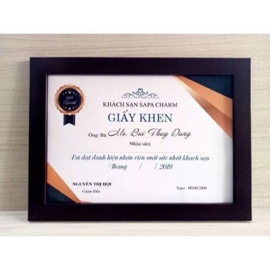 Bán sỉ khung bằng khen A4 21x30 cm giảm giá sốc chỉ 19.600₫ - HỎA TỐC HN