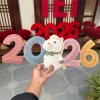 Bảng Gỗ In UV Dán Kính Tết 2.026 - Giả Len Ngựa Bông Đáng Yêu, Kèm Bằng Dán, Decor 2