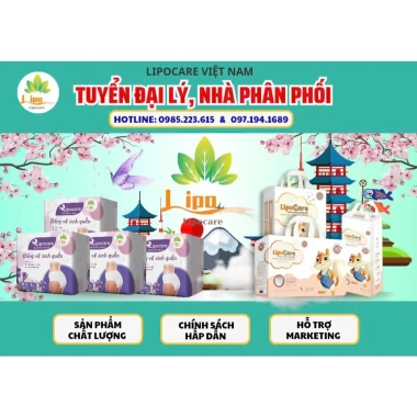 Băng vệ sinh dạng quần Lipo Care 2 gói size M/L-XL - Thấm hút cực nhanh, chỉ 89.000₫ 5