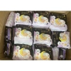 Băng vệ sinh quần Veermoon combo 50 miếng - Size M/L/XL, chỉ 139.000đ cho mẹ sau sinh 9