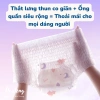 Băng vệ sinh Veermoon dạng quần giá rẻ 20pcs COMBO 4 túi - Ban đêm và sau sinh, 120.000₫ 5