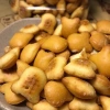 Bánh gấu 500gr nhân kem thiên hồng - Đồ ăn vặt Hà Nội, giảm còn 35k, bánh kẹo Tết ngon 2