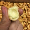 Bánh gấu 500gr nhân kem thiên hồng - Đồ ăn vặt Hà Nội, giảm còn 35k, bánh kẹo Tết ngon 5