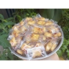 Bánh quy gấu kem sữa Việt Thái 1kg - Đồ ăn vặt hottrend, Quà Tết chỉ 50.000