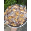 Bánh quy gấu kem sữa Việt Thái 1kg - Đồ ăn vặt hottrend, Quà Tết chỉ 50.000 8