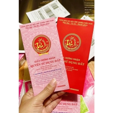 Bao lì xì sổ đỏ lộc lá - Hồng - 10 cái, giá ưu đãi 35.000đ, chuẩn Tết 2.026