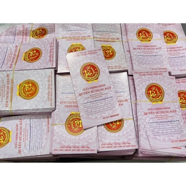 Bao lì xì sổ đỏ lộc lá - Hồng - 10 cái, giá ưu đãi 35.000đ, chuẩn Tết 2.026