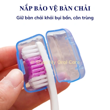 Bảo Vệ Đầu Bàn Chải My Oral Care chống bụi côn trùng gián chuột dính nước túi 20k 4