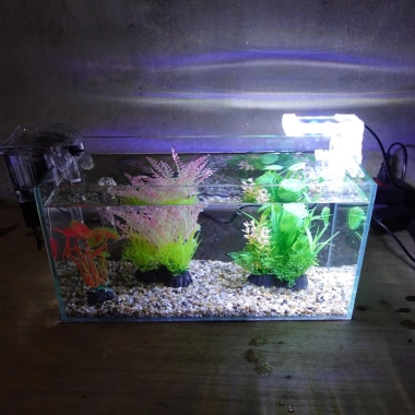 Bể cá 33cm 7 món: sỏi nền, máy lọc, cây nhựa, đèn LED - Giá ưu đãi 320.000₫