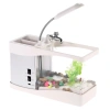 Bể cá mini để bàn kèm đồng hồ LED, đèn LED, sỏi và cây trang trí - Giá chỉ 445.000đ 8