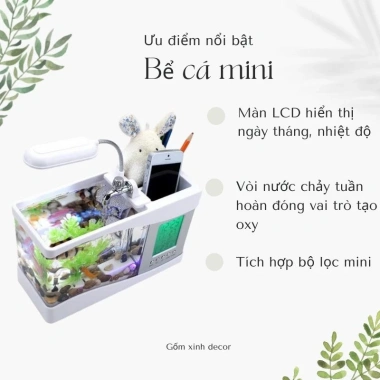 Bể Cá Mini Hồ Thủy Sinh để bàn - Đồng Hồ Đèn LED, sỏi và cây trang trí, giảm giá 600k